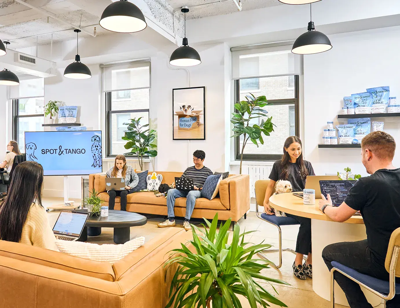 Office with employees and dogs on couches, working together